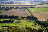 View from Ham Hill, Somerset, England